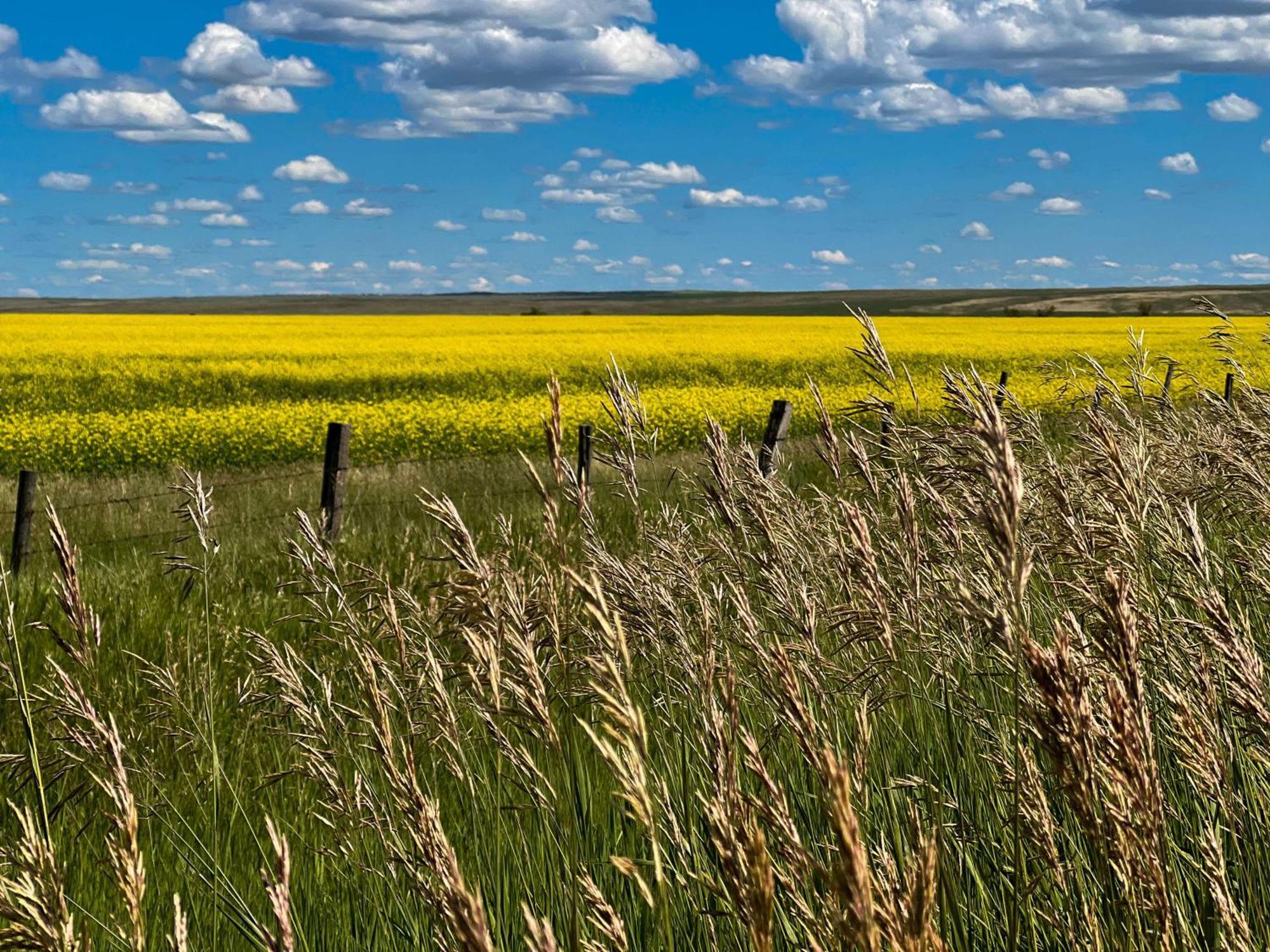 Coast Swift Current Hotel Экстерьер фото
